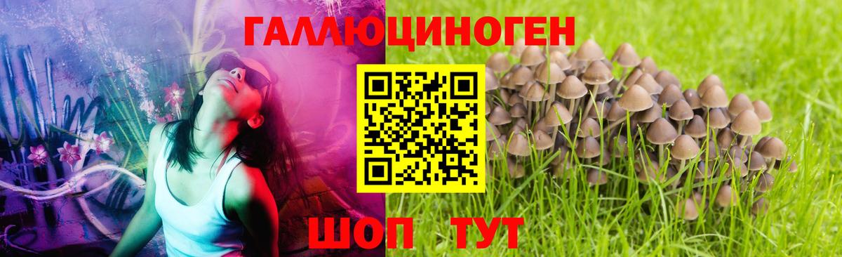 Псилоцибиновые грибы мицелий  Псилоцибиновые грибы Magic Shrooms  купить наркотик  Анапа  Вход с VPN 